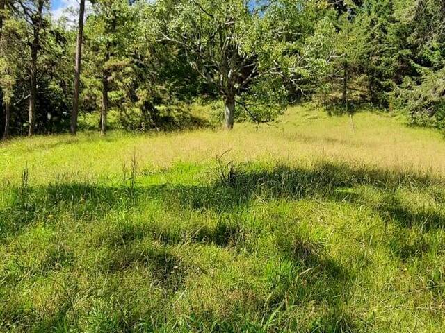 #4357 - Terreno para Venta en Carmen de Viboral - ANT - 1