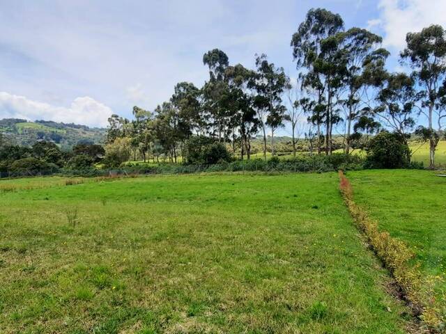 Terreno para Venta en Envigado - 5