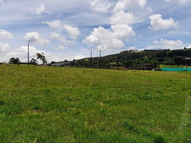Terreno para Venta en Envigado - 4