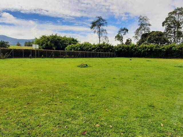 Terreno para Venta en La Ceja - 5