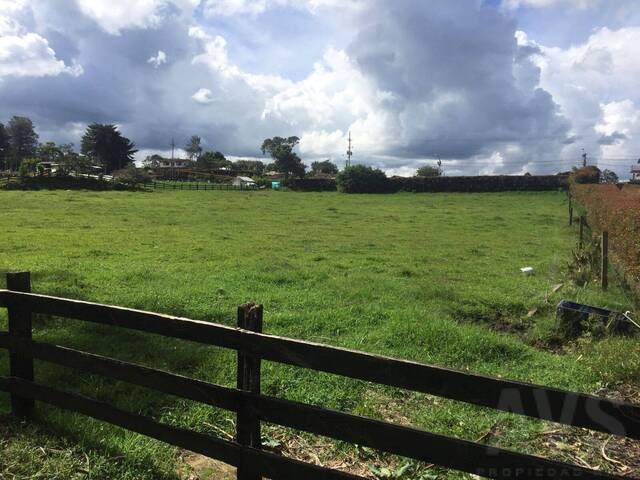 Finca para Venta en Rionegro - 5