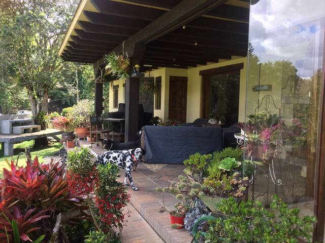 Finca para Venta en Rionegro - 4