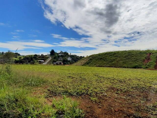 Terreno para Venta en Carmen de Viboral - 4