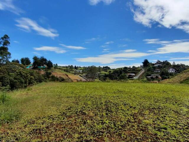 Terreno para Venta en Carmen de Viboral - 5