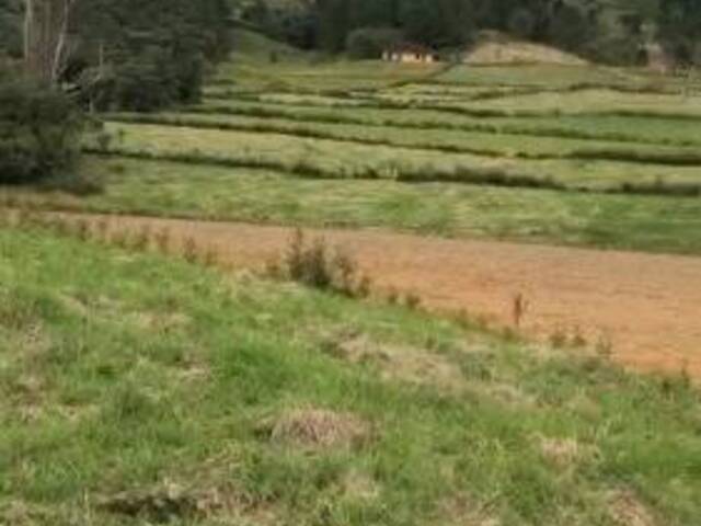 Terreno para Venta en La Ceja - 4