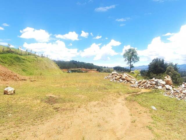 #4398 - Terreno para Venta en Rionegro - ANT - 3