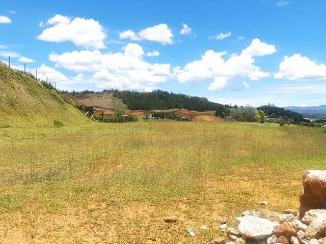 Terreno para Venta en Rionegro - 4