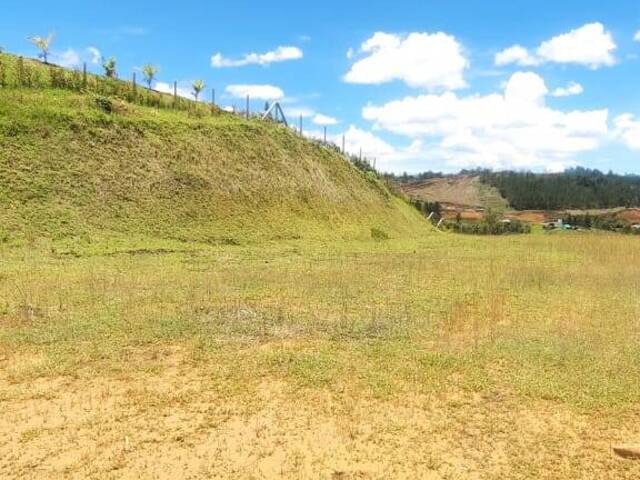 Terreno para Venta en Rionegro - 5