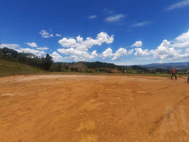 Venta en Sajonia - Rionegro