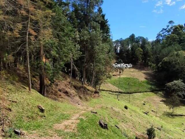 Terreno para Venta en Rionegro - 2