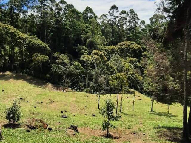 Terreno para Venta en Rionegro - 3