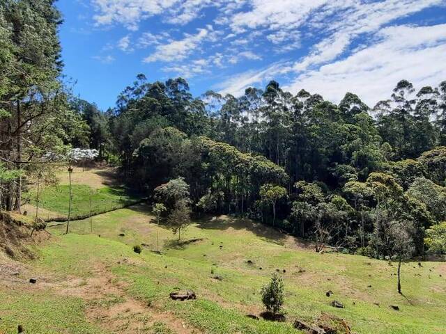 Terreno para Venta en Rionegro - 5