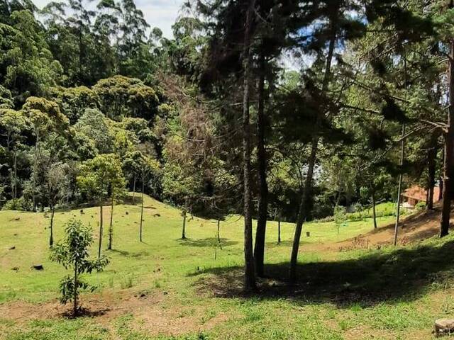 Terreno para Venta en Rionegro - 4