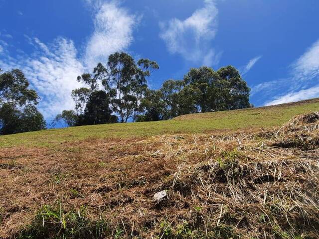 #4366 - Terreno para Venta en Rionegro - ANT - 3