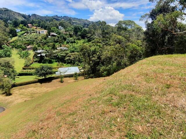 Terreno para Venta en Rionegro - 4