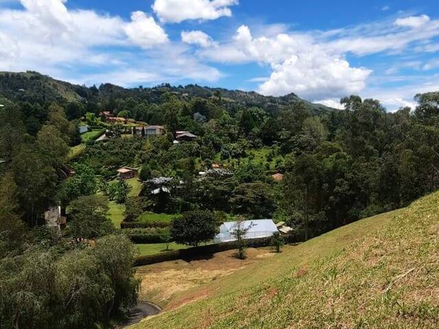 Terreno para Venta en Rionegro - 5