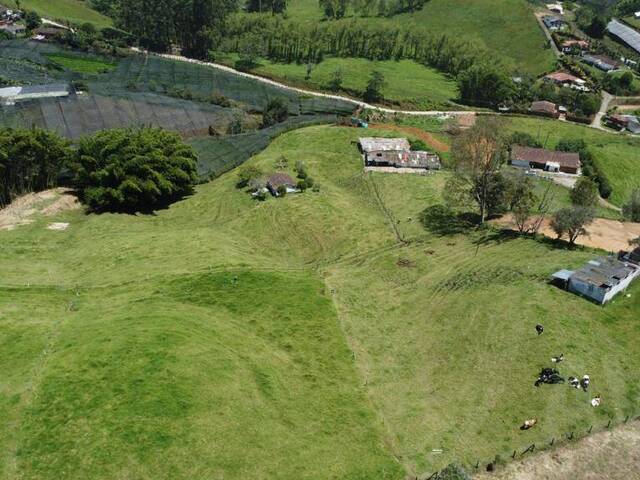 Terreno para Venta en Carmen de Viboral - 4