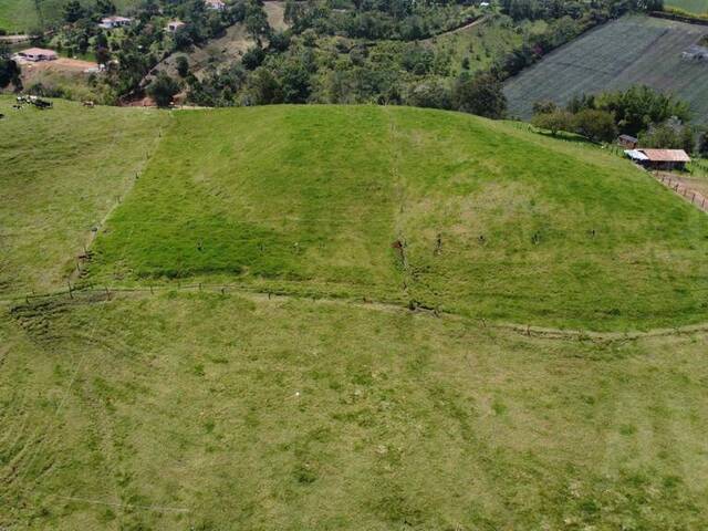 Terreno para Venta en Carmen de Viboral - 5