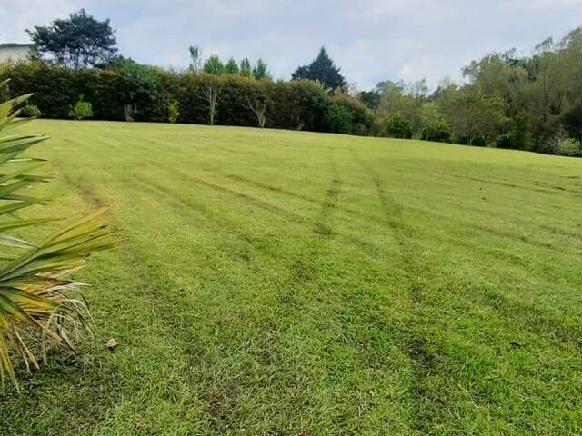Venta en Sector Llanogrande - Rionegro