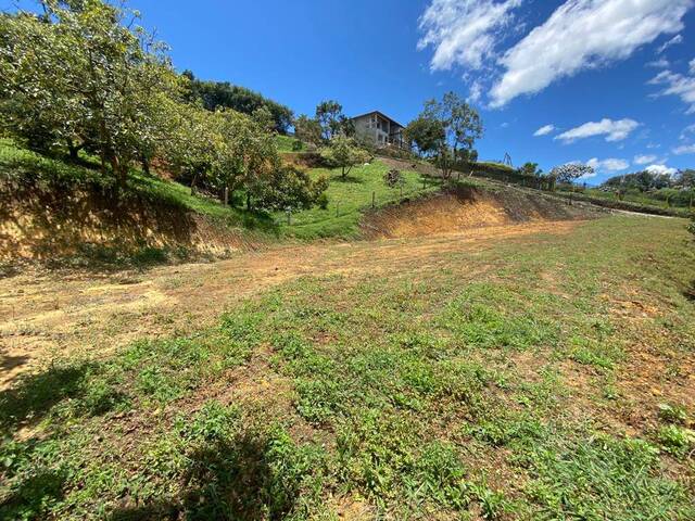 Terreno para Venta en Carmen de Viboral - 4