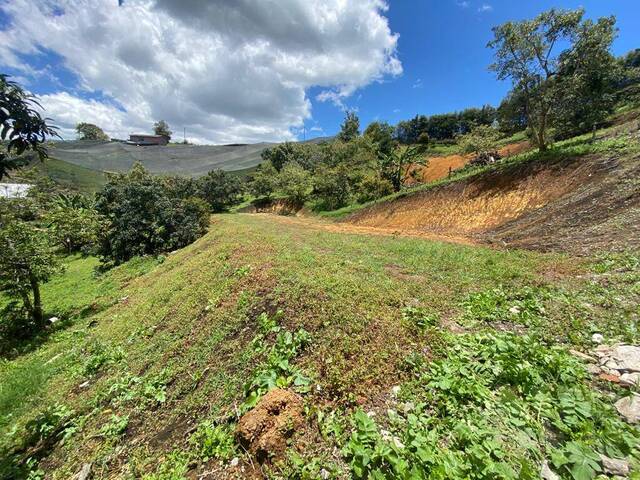 Terreno para Venta en Carmen de Viboral - 5