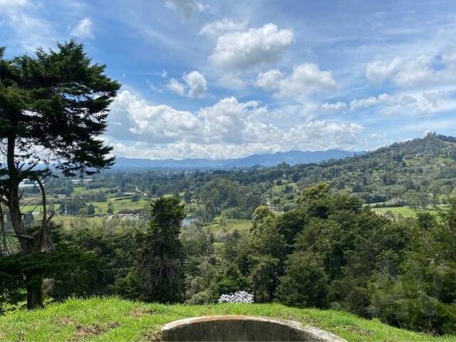 Terreno para Venta en Rionegro - 4