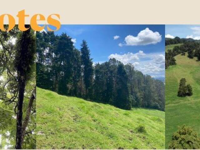Terreno para Venta en Rionegro - 5