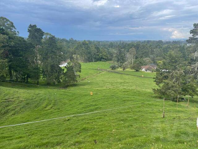 Terreno para Venta en Rionegro - 3