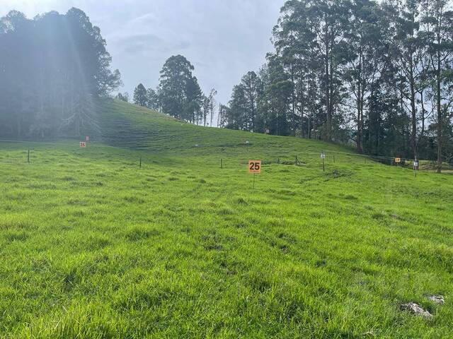 Terreno para Venta en Rionegro - 2