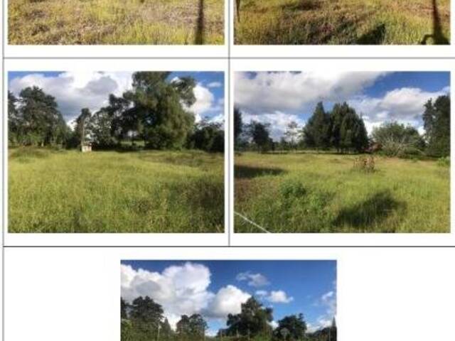 #4438 - Terreno para Venta en Rionegro - ANT