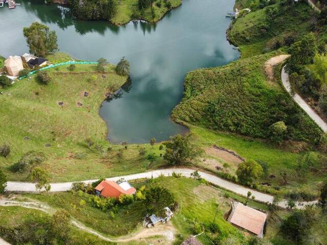 Venta en Vereda Ubitango - Peñol