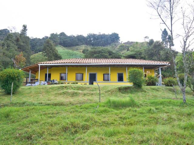 #4436 - Finca para Venta en La Ceja - ANT - 1