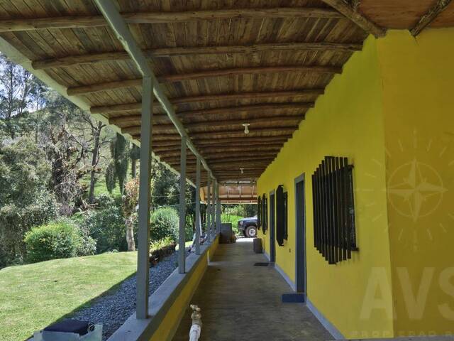 Finca para Venta en La Ceja - 4