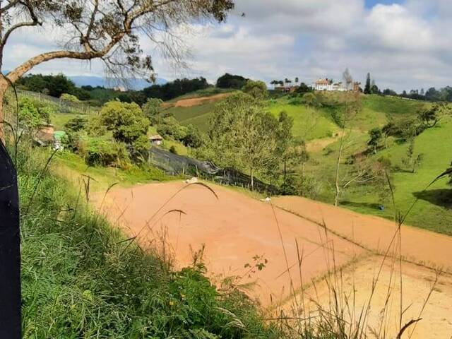 Terreno para Venta en Carmen de Viboral - 4