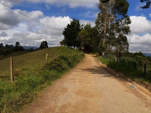 Terreno para Venta en Carmen de Viboral - 5