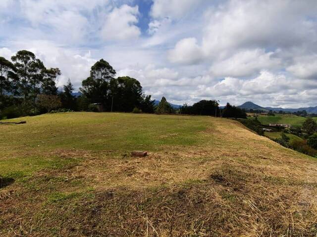 #4427 - Terreno para Venta en Carmen de Viboral - ANT - 2