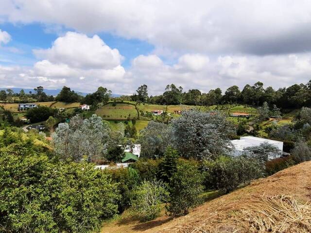 Terreno para Venta en Carmen de Viboral - 5