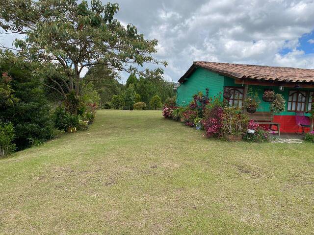 #4443 - Finca para Venta en La Ceja - ANT - 1