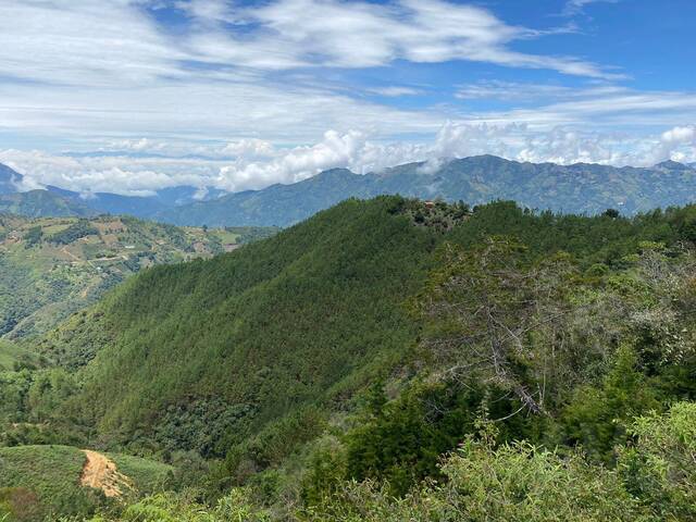 #4443 - Finca para Venta en La Ceja - ANT - 3