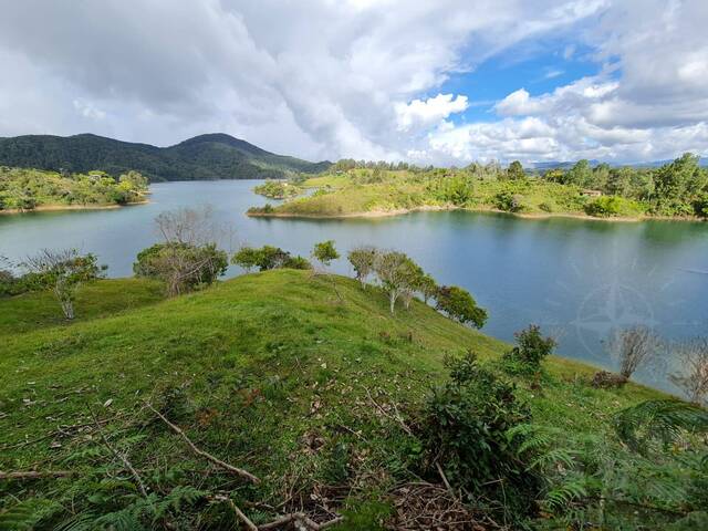 Terreno para Venta en Peñol - 4