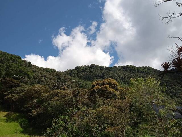 Terreno para Venta en La Ceja - 5