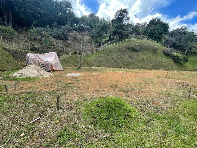 #4416 - Terreno para Venta en Rionegro - ANT - 3
