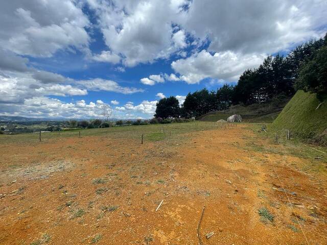 #4416 - Terreno para Venta en Rionegro - ANT - 2