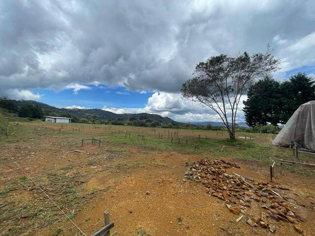 Terreno para Venta en Rionegro - 4