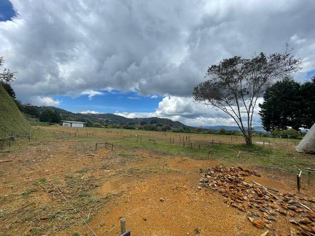 Terreno para Venta en Rionegro - 5
