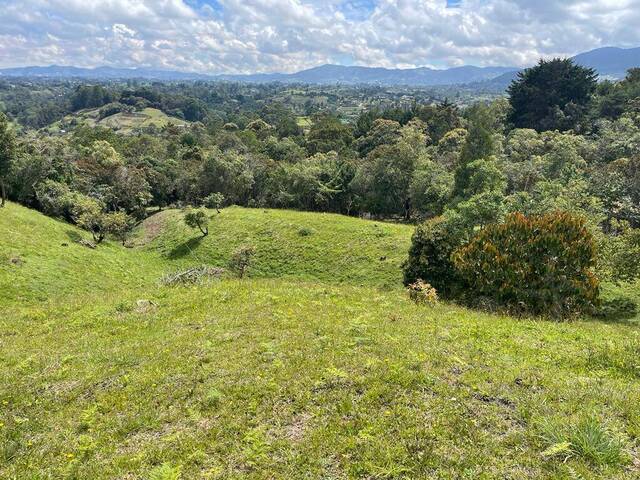 Terreno para Venta en Rionegro - 3