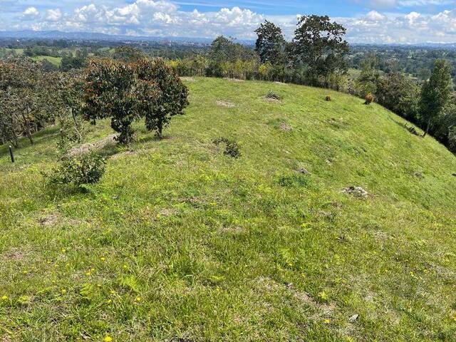 Venta en Sector El capiro - Rionegro
