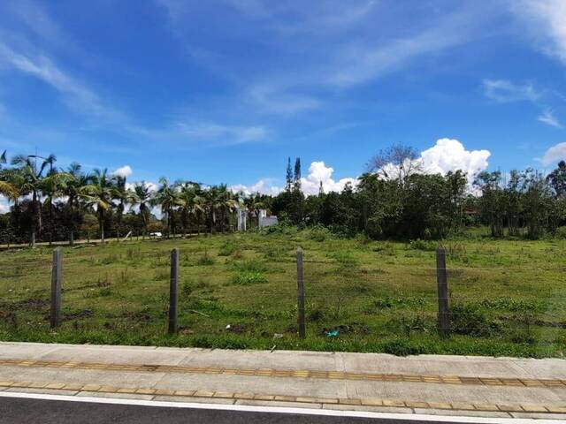 Terreno para Venta en Rionegro - 4