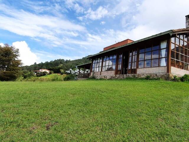 #4476 - Finca para Venta en La Ceja - ANT - 2