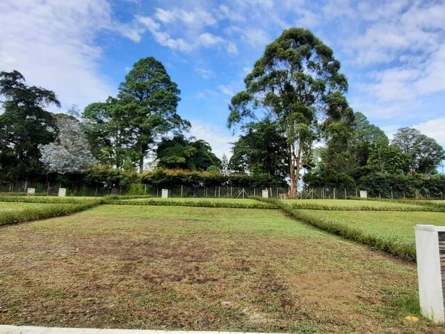 #4453 - Terreno para Venta en Rionegro - ANT - 3